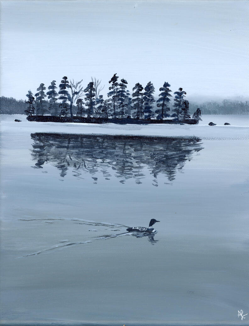 A loon crosses a still, misty gray lake