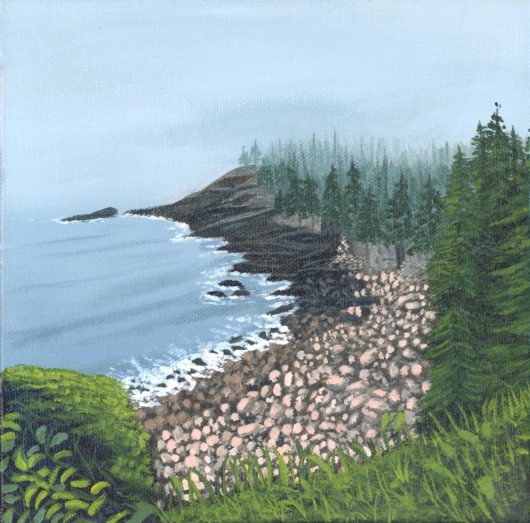 The coast of Acadia National Park on a misty summer day